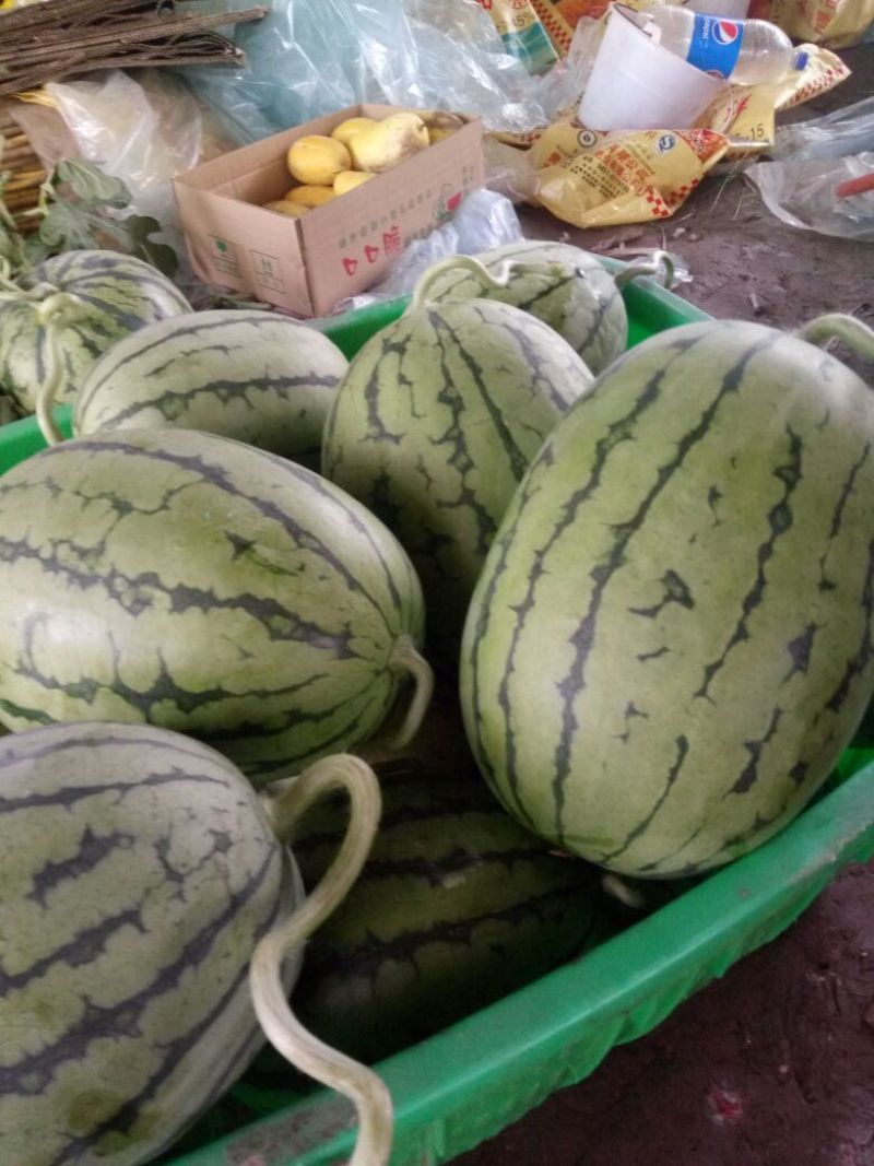 正品保障西瓜价格美丽