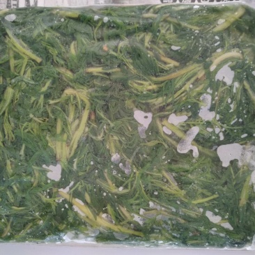 正品柳蒿芽长期有货价格美丽欢迎联系