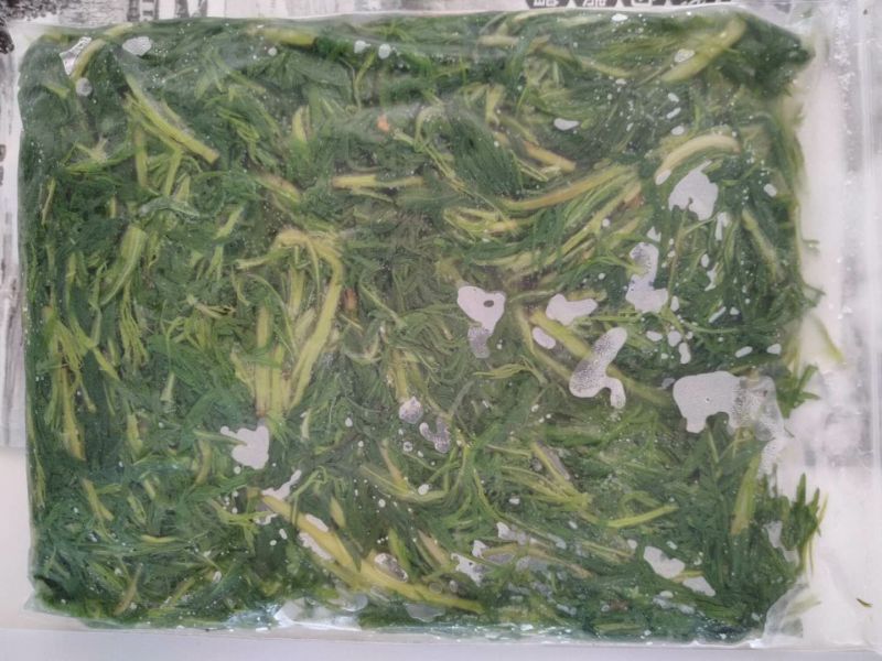 正品柳蒿芽长期有货价格美丽欢迎联系
