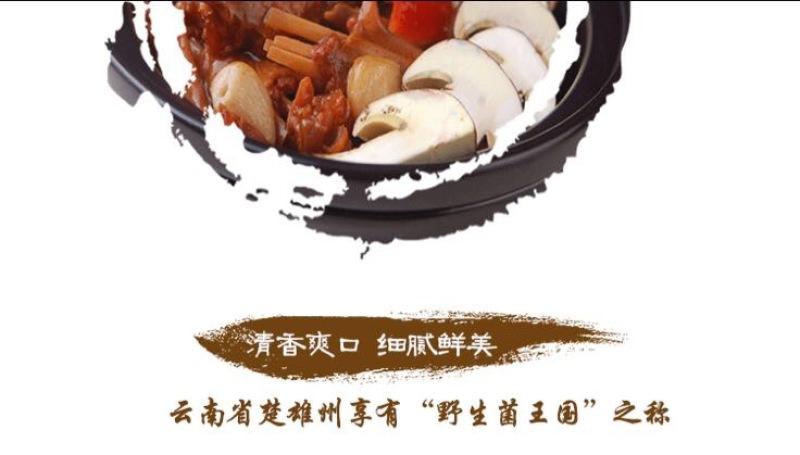 牛肝菌新鲜牛肝菌上市，空运云南野生菌产地直售