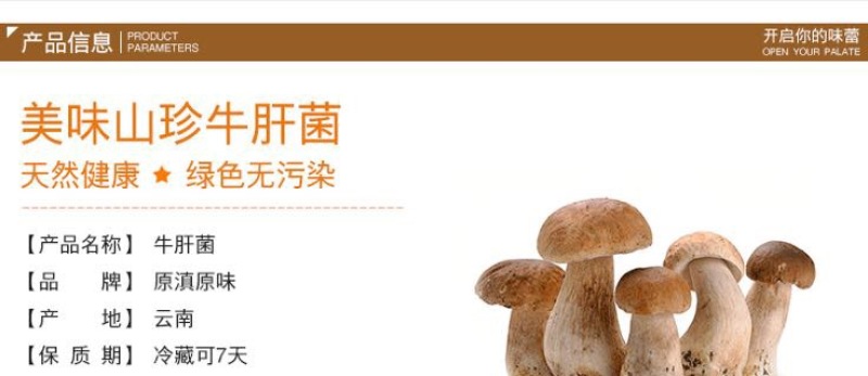 牛肝菌新鲜牛肝菌上市，空运云南野生菌产地直售