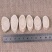 黄芪随时有货正品保障价格美丽新鲜黄芪等你来选购