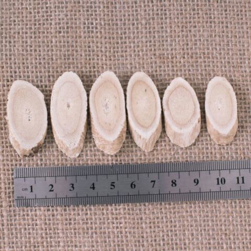 黄芪随时有货正品保障价格美丽新鲜黄芪等你来选购