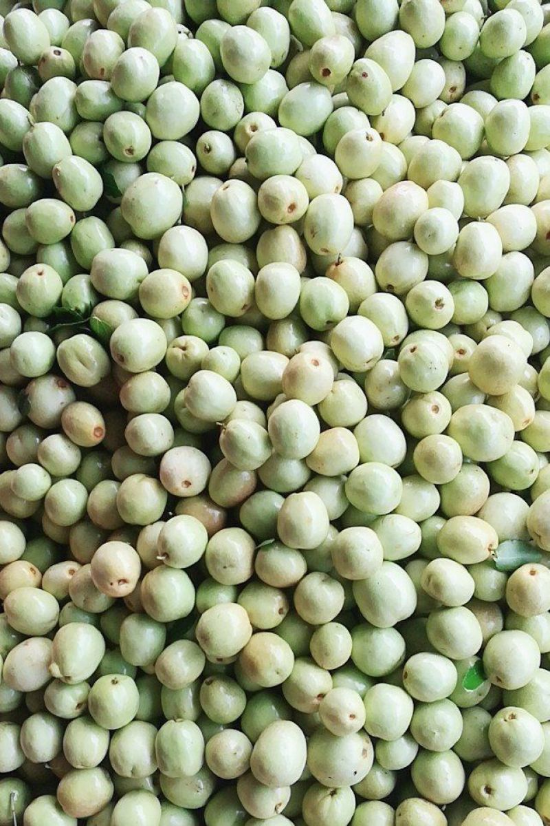 山东婆枣早脆王，脆甜，美味，个大肉厚，汁多，绿色食品