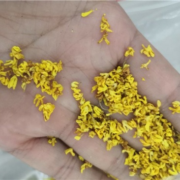 自产自销桂花茶规格齐全支持拿样