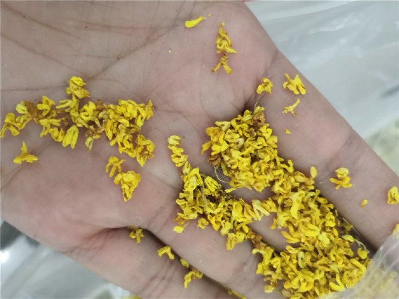 自产自销桂花茶规格齐全支持拿样