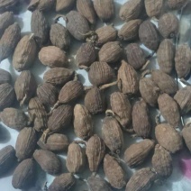 草果