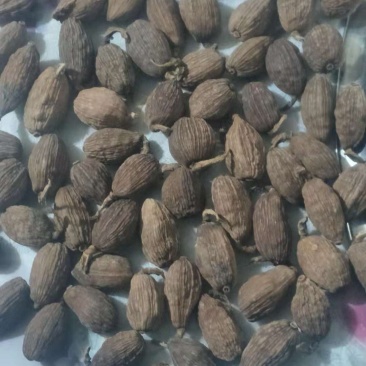 草果