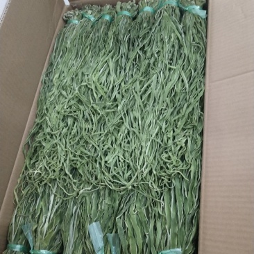 新鲜贡菜产地直发量大从优价格美丽