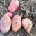 合作88盈江大量上市有意联系