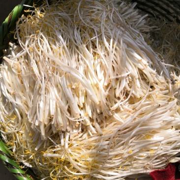 正宗芹芽现货秒发下单秒发