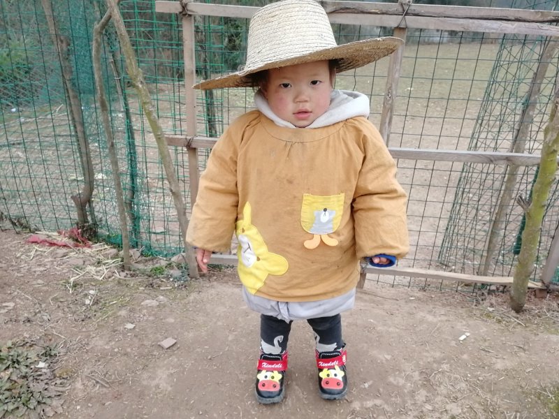 夏枯草供货