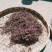 现货秒发天然新鲜薇菜欢迎咨询