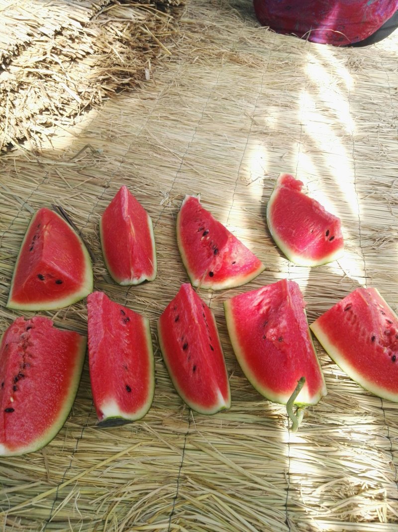 应季西瓜量大优惠