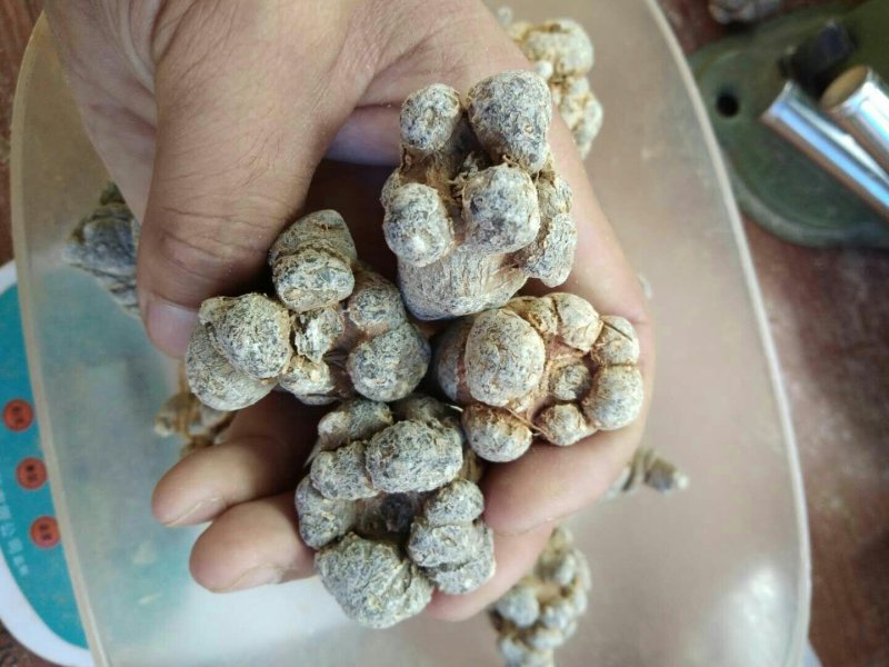 三七***保质保量承诺自产自销新鲜到家