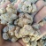 三七***保质保量承诺自产自销新鲜到家