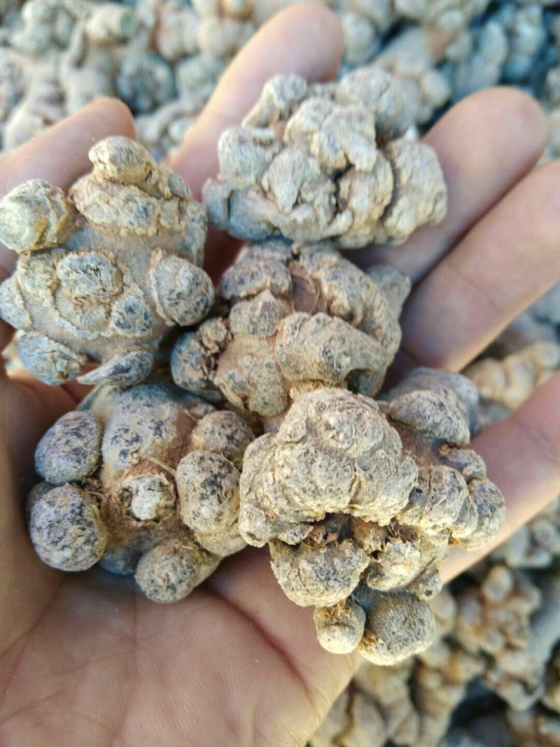 三七***保质保量承诺自产自销新鲜到家