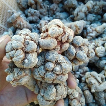 三七***保质保量承诺自产自销新鲜到家