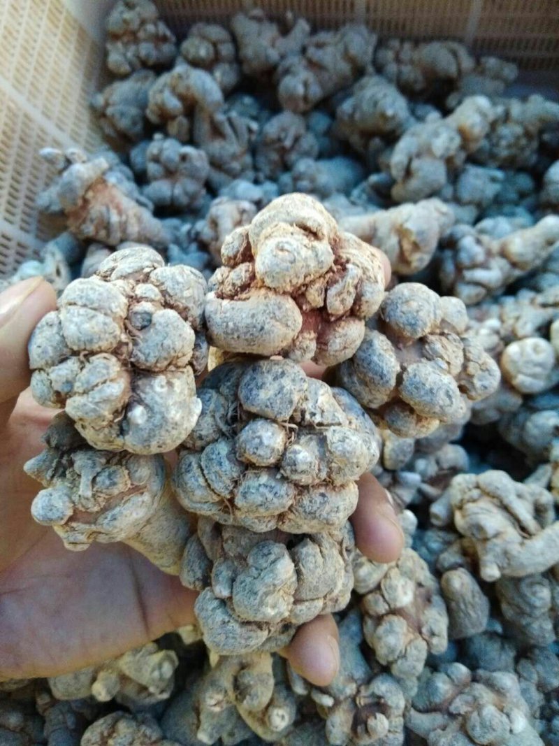 三七***保质保量承诺自产自销新鲜到家