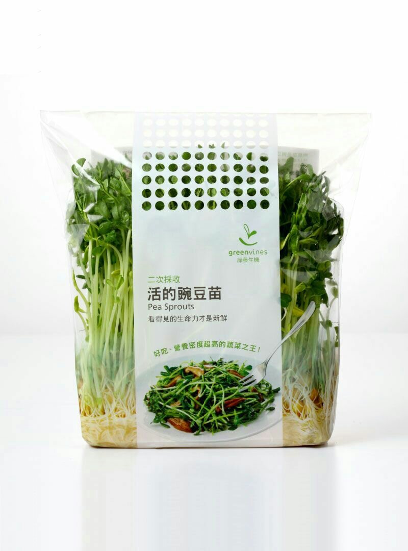 芽苗类豌豆苗