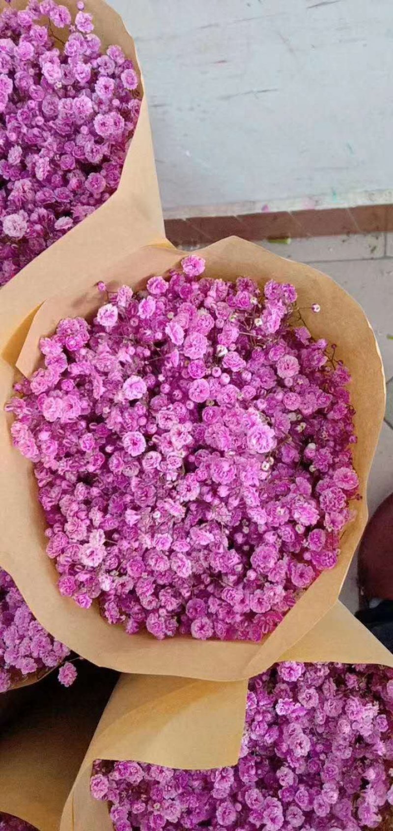 花圃直发优质满天星鲜切花超高性价比