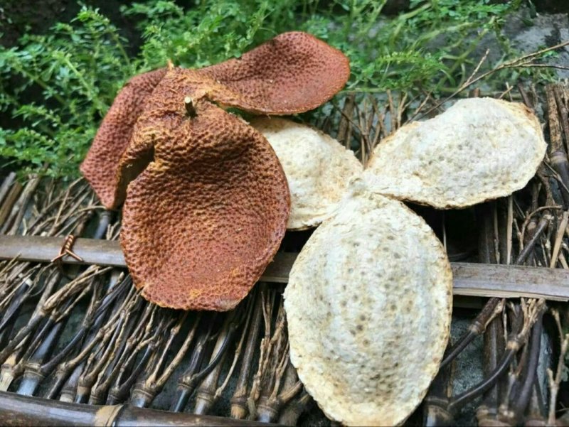 长期有货厂家直销***陈皮精选优质