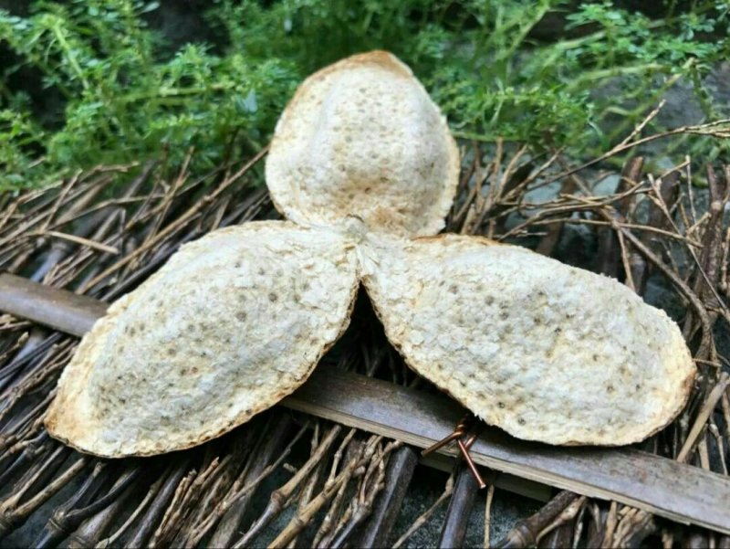 长期有货厂家直销***陈皮精选优质