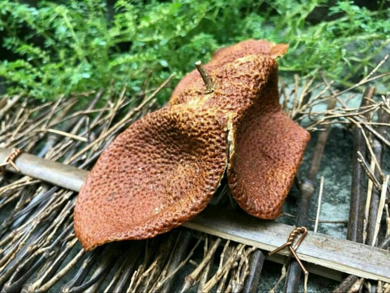 长期有货厂家直销***陈皮精选优质