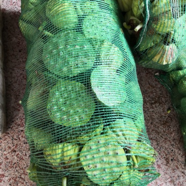 规格齐全莲蓬一手货源量大优惠