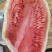 内黄大棚西瓜美都甜王小吊瓜大量有货