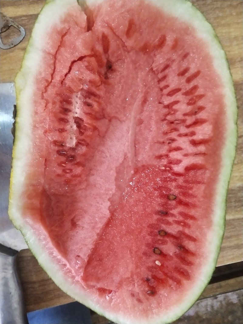 内黄大棚西瓜美都甜王小吊瓜大量有货