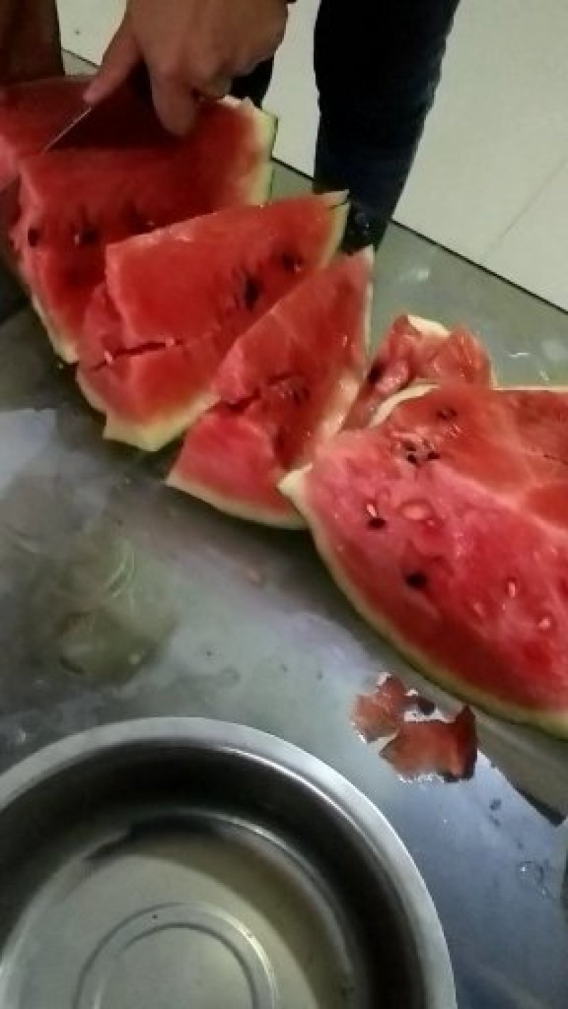 内黄大棚西瓜美都甜王小吊瓜大量有货