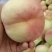 毛桃