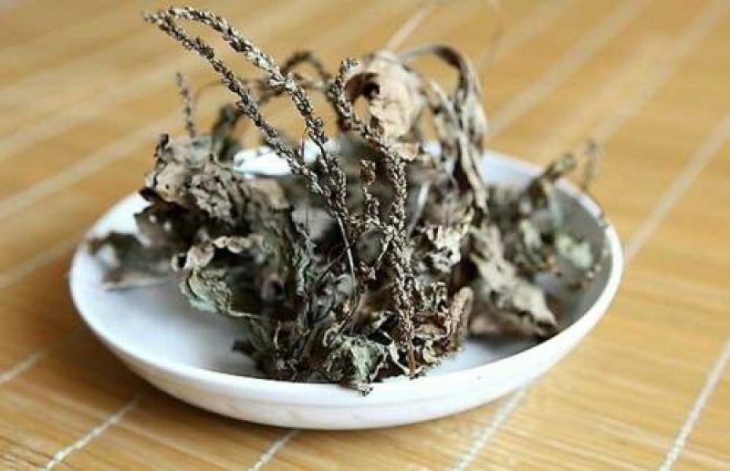 车前草