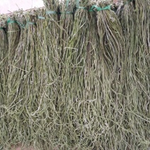 正品贡菜源头供应量大从优