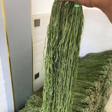 正品保障贡菜电商供货价格美丽