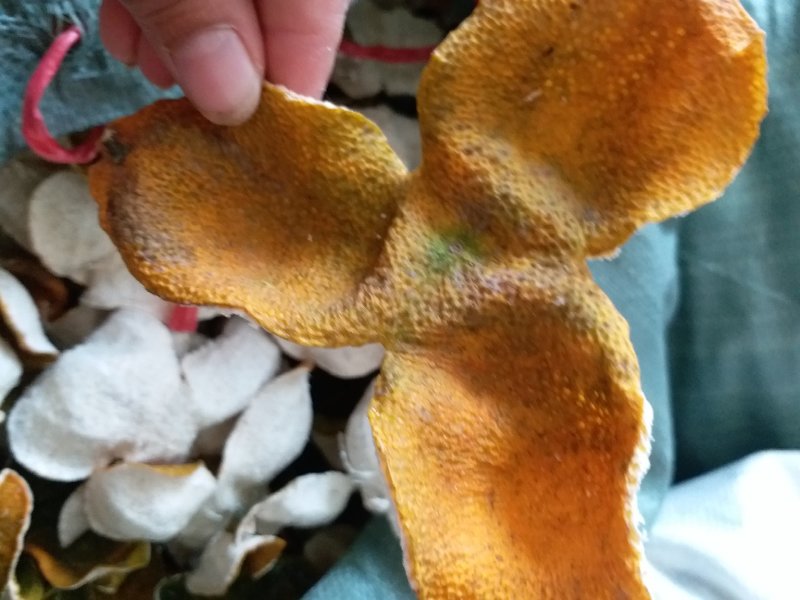 自产自销陈皮品质保障长期供应欢迎电话咨询