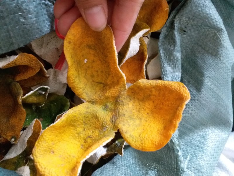 自产自销陈皮品质保障长期供应欢迎电话咨询