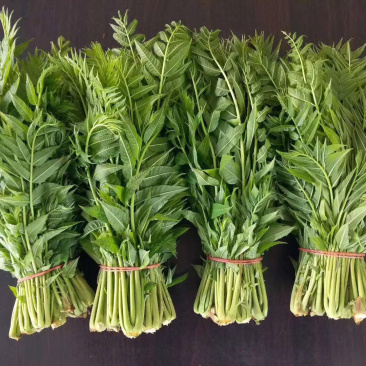 ***花椒芽电商供货价格实惠