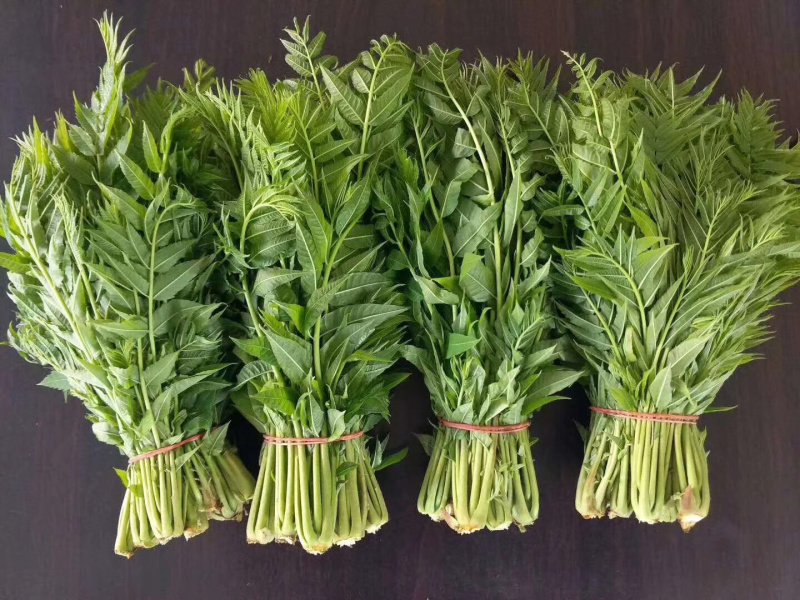 ***花椒芽电商供货价格实惠