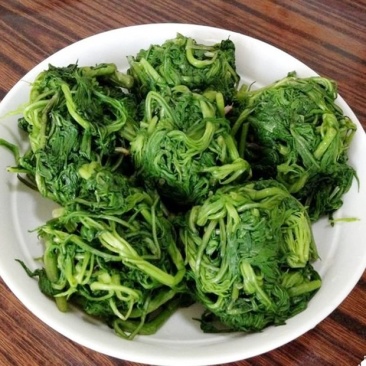 天然新鲜柳蒿芽源头供应量大优惠欢迎电话咨询