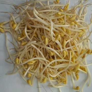 ***豆芽电商供货诚信经营