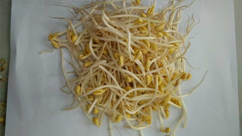 ***豆芽电商供货诚信经营