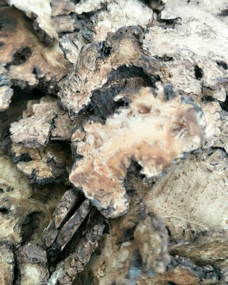 川芎安徽中药材批发，大量现货供应，规格齐全，电联价格可谈