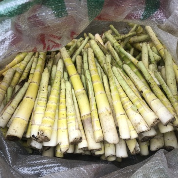 ***罗汉笋全国供应量大从优