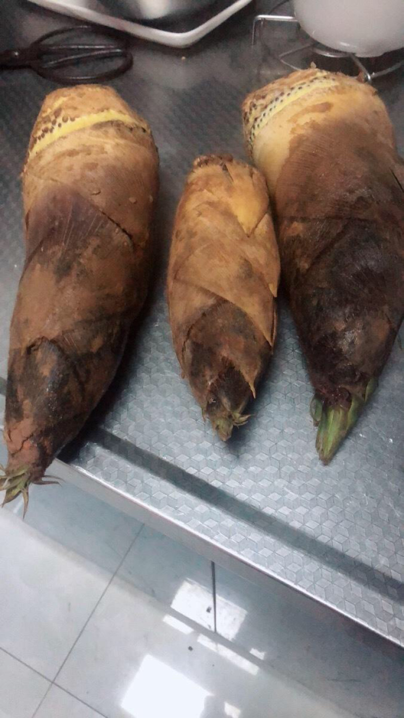 精品春笋源头供应超高性价比