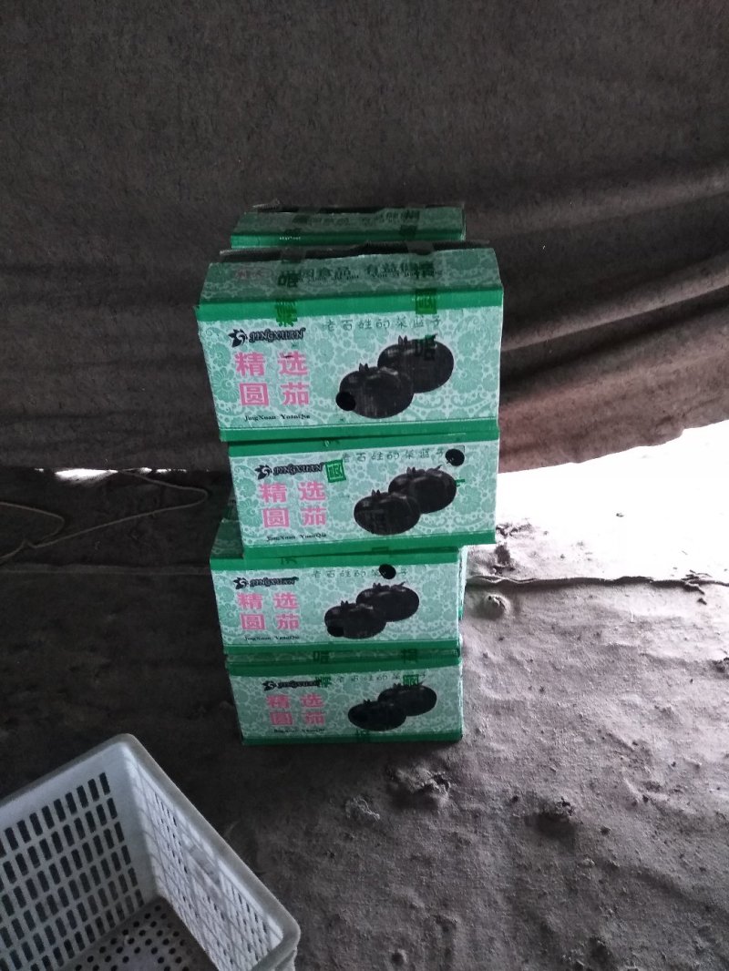 山东省潍坊市青州市紫光圆茄，大量上市了，质量好，价格实惠