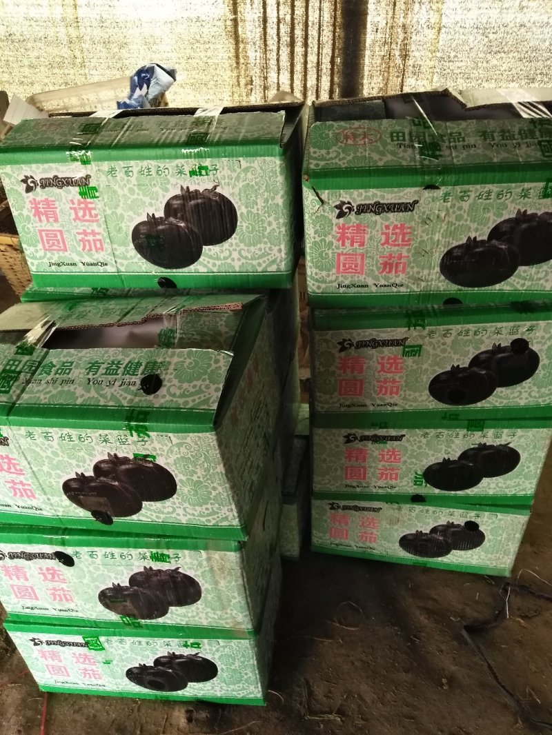 山东省潍坊市青州市紫光圆茄，大量上市了，质量好，价格实惠