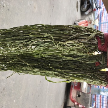 精品贡菜随时有货欢迎联系