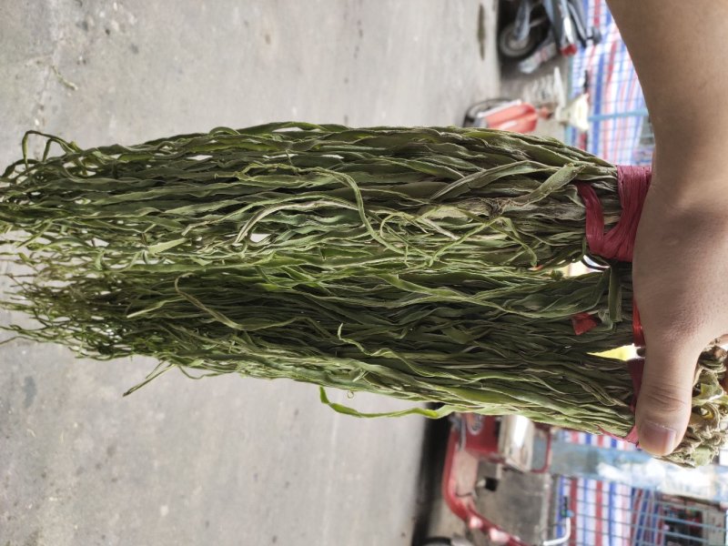 精品贡菜随时有货欢迎联系
